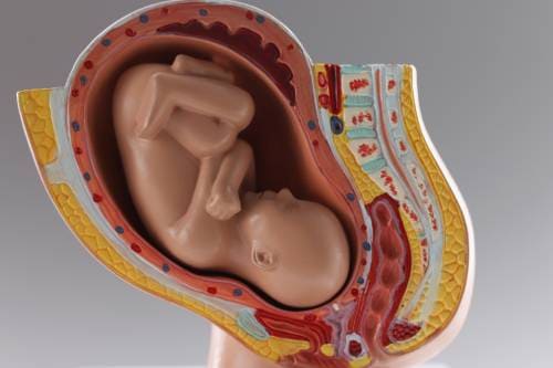 Perfil biofísico fetal